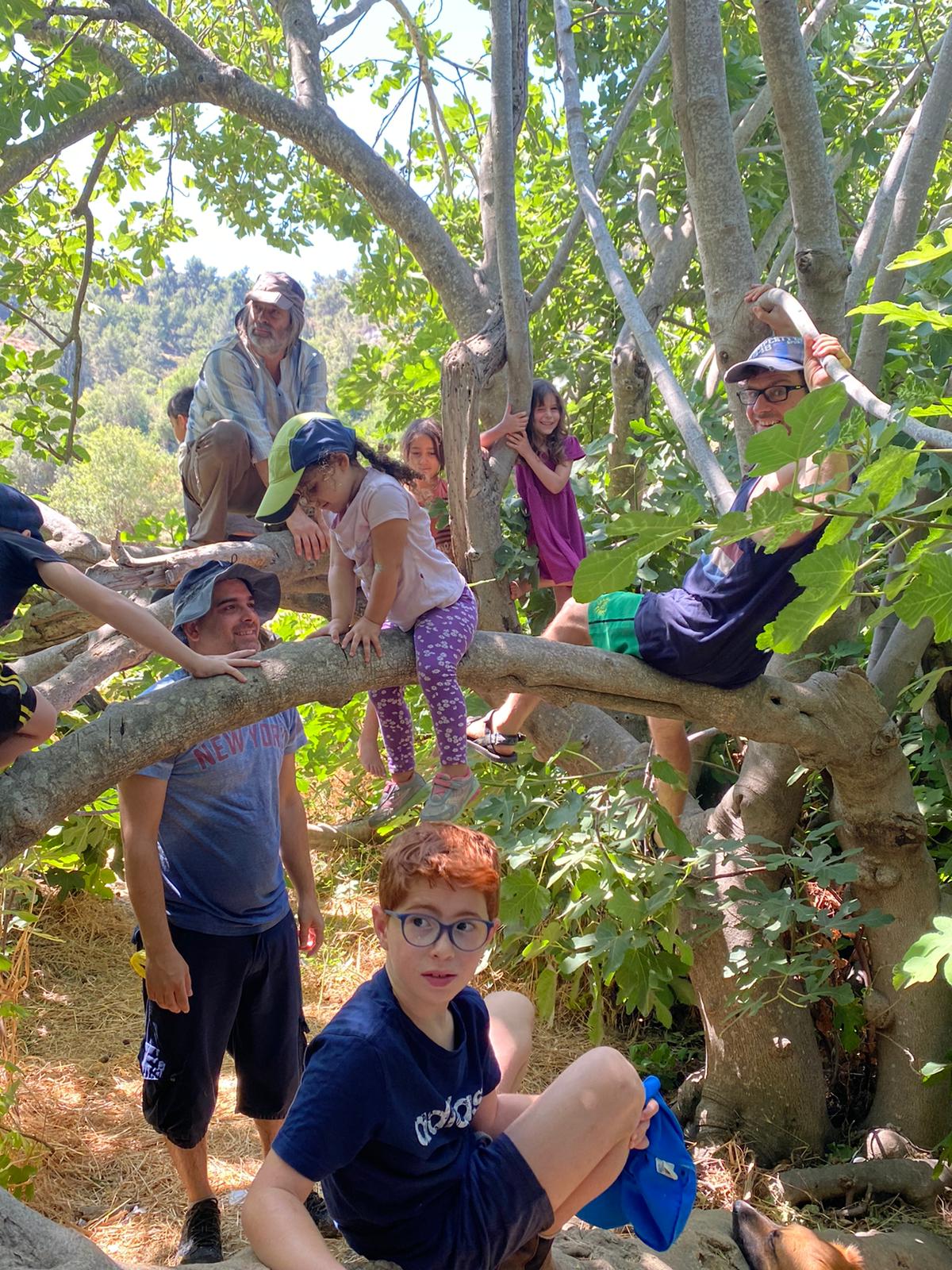 ההרשמה לקורס ליקוט למשפחות נפתחה