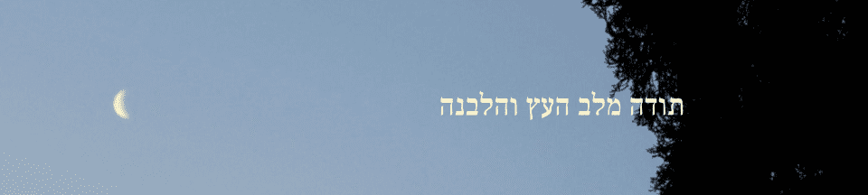 תודה מלב העץ