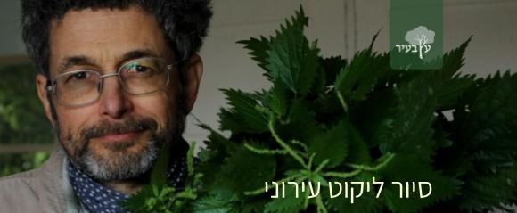 סיור ליקוט עירוני
