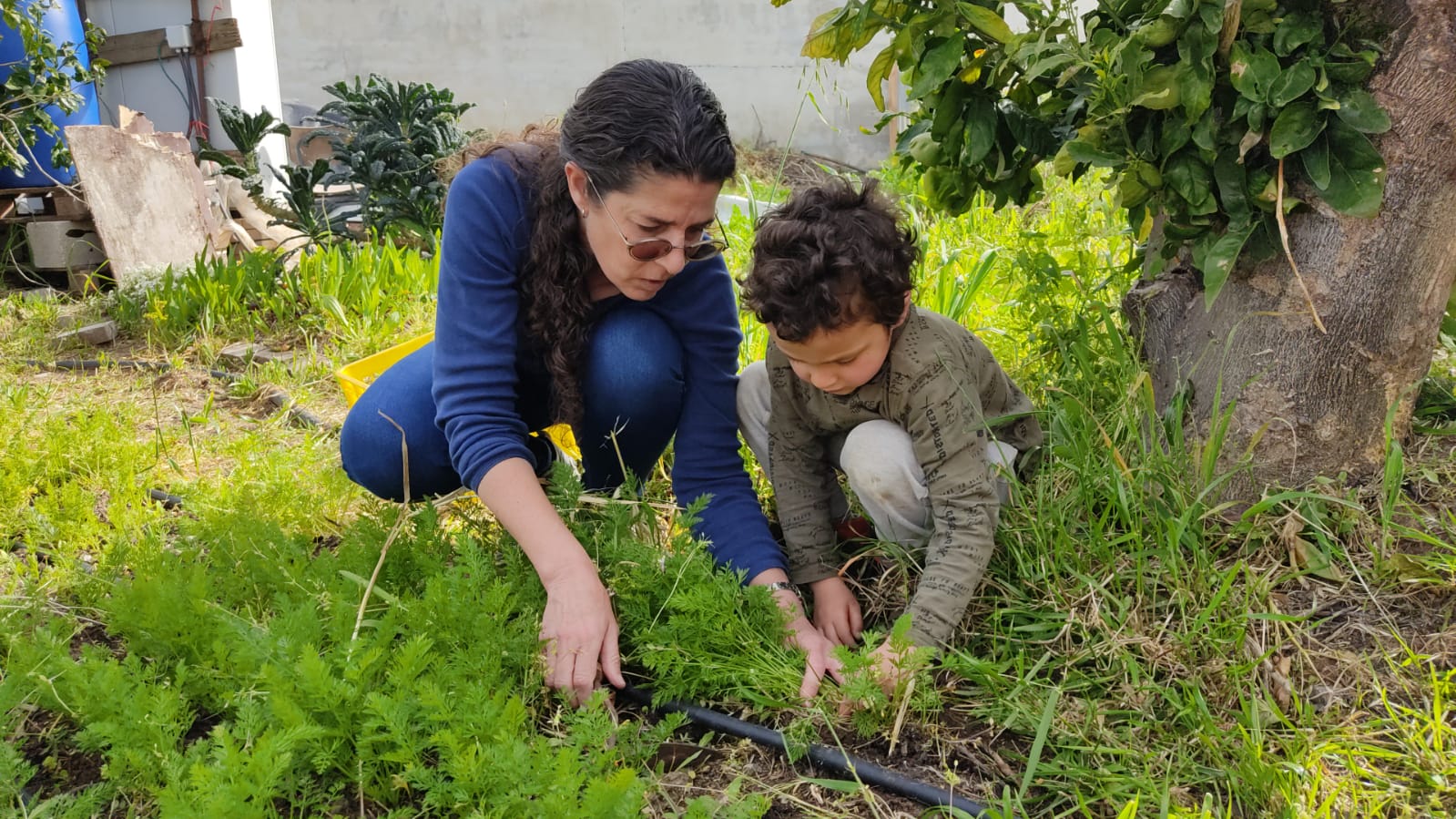 סדנת גן הירק למשפחות בחופשת חנוכה