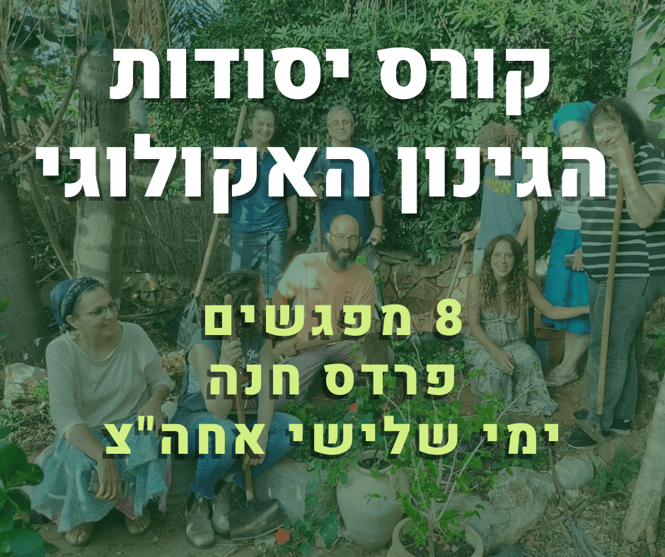 קורס יסודות הגינון אקולוגי וגידול ירקות