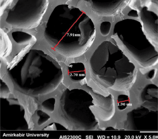 הגדלה בעזרת מיקרוסקופ אלקטרוניאפשר לראות טוב את החללים הרחבים, הגדולים יחסית והמרובים שיש בביו פחם