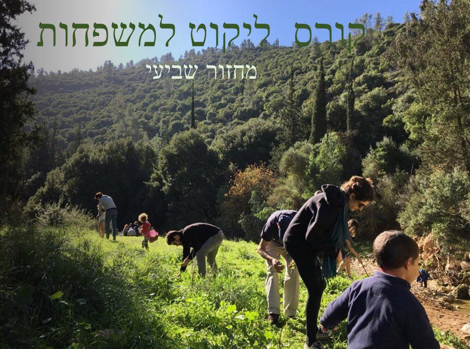 קורס ליקוט למשפחות - מחזור שביעי