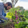 הקורס המקיף לגינון אקולוגי וגינת מאכל