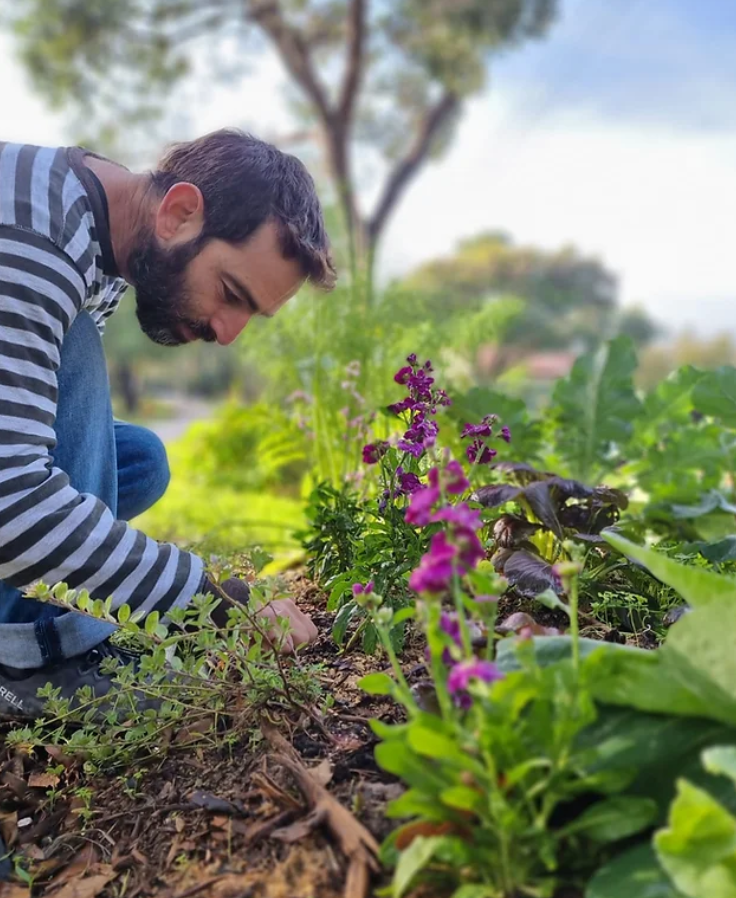 הקורס המקיף לגינון אקולוגי וגינת מאכל