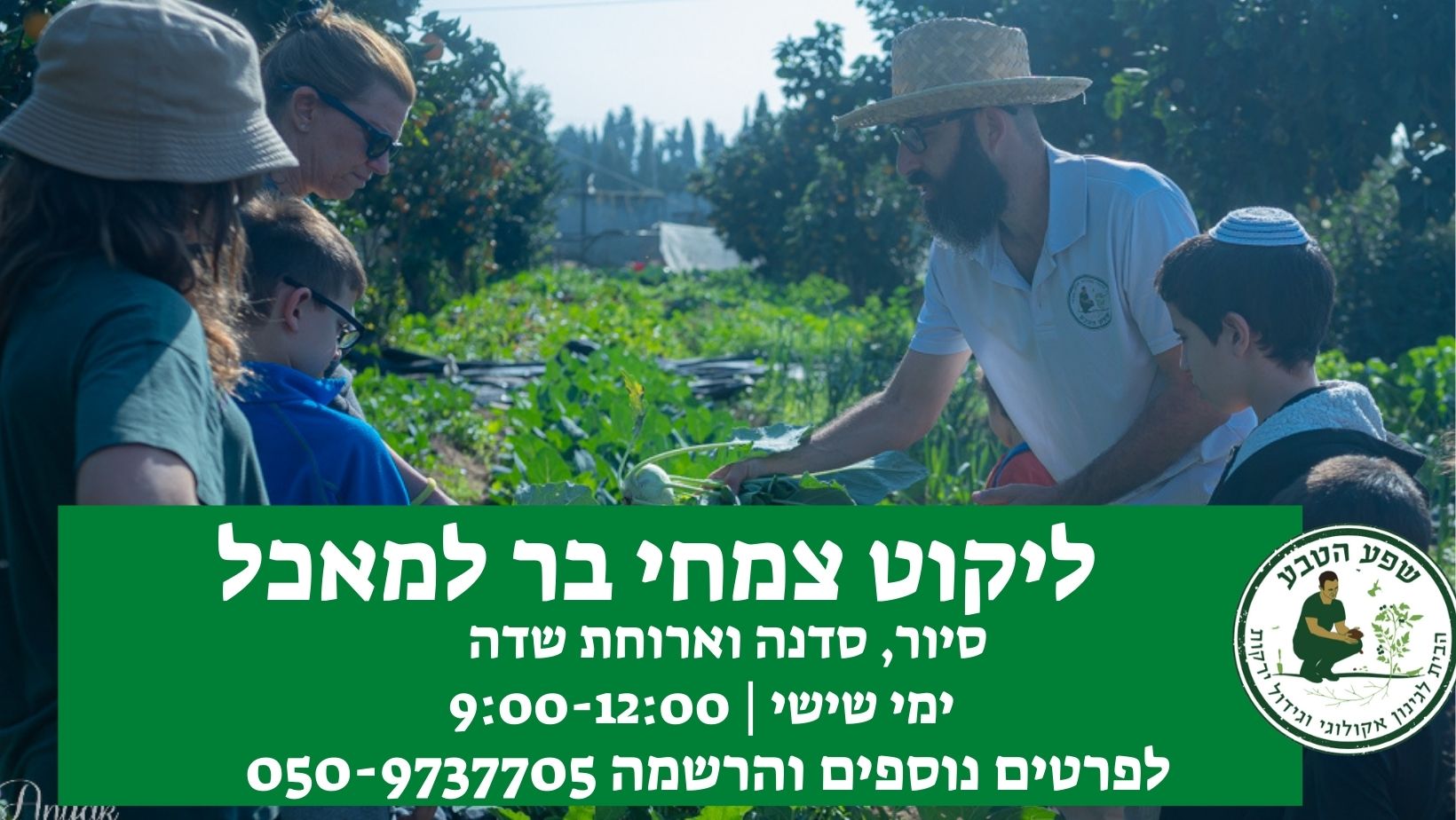 מפגש ליקוט צמחי בר למאכל ומרפא
