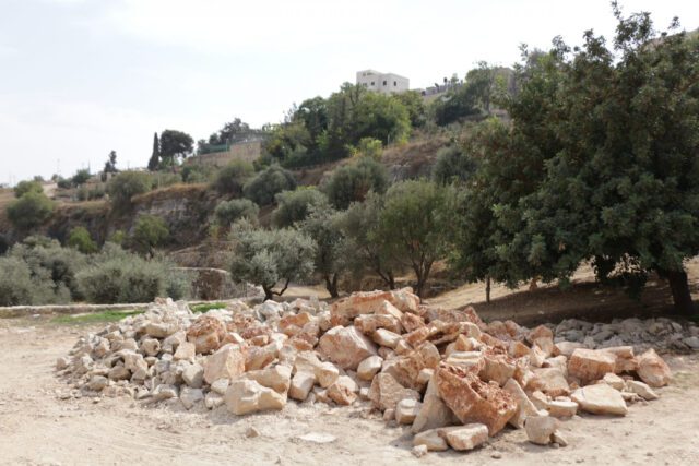 ערימת אבן מלוקטת בשטח בין עצי זית