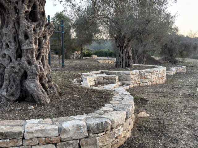 אדניות אבן מוגמרות עם אדמה וצמחייה